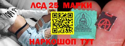 мяу мяу мука Будённовск