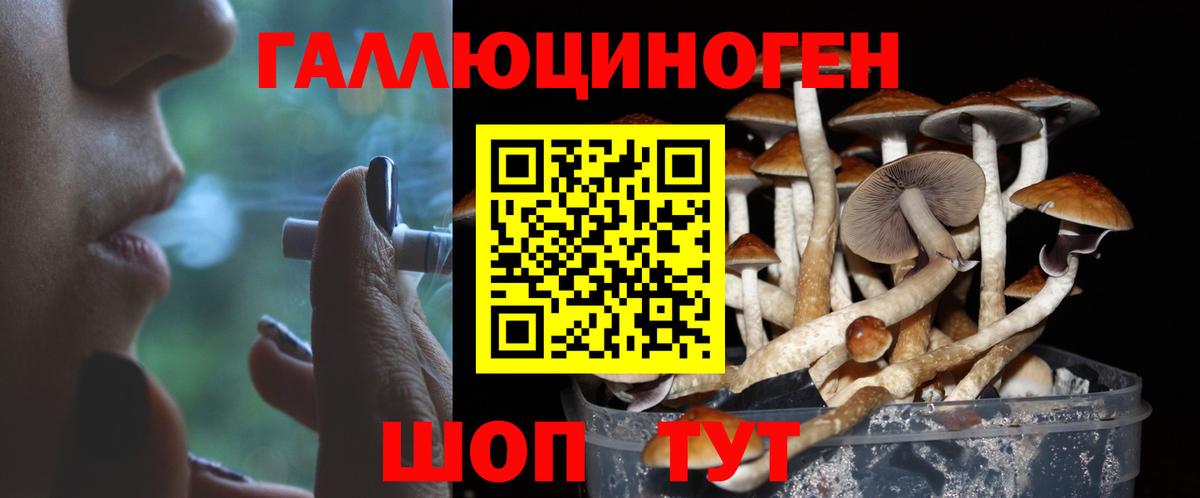 Галлюциногенные грибы Psilocybine cubensis Новоуральск